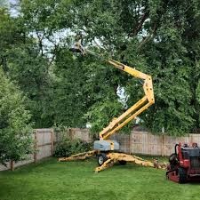 Best Emergency Tree Removal  in Harwich Center, MA